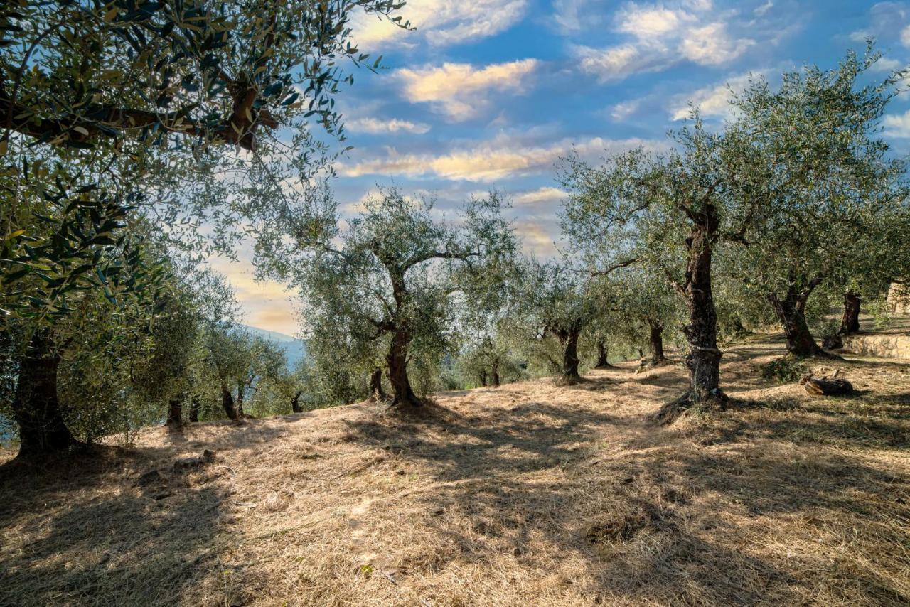 Casetta Maduneta Immersa In Un Oliveto Дольчеаккуа Экстерьер фото