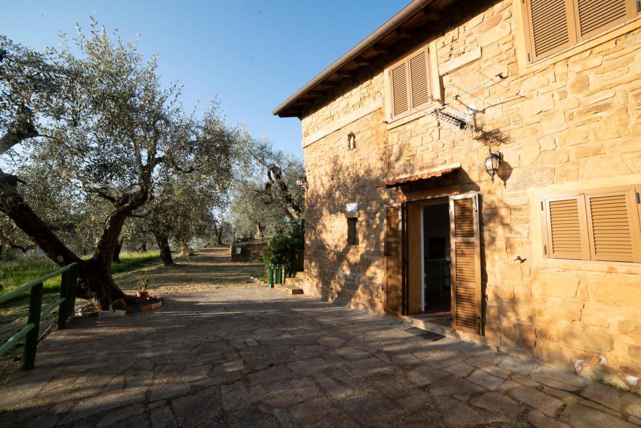 Casetta Maduneta Immersa In Un Oliveto Дольчеаккуа Экстерьер фото